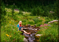 Meadow along Lake Anne Trail