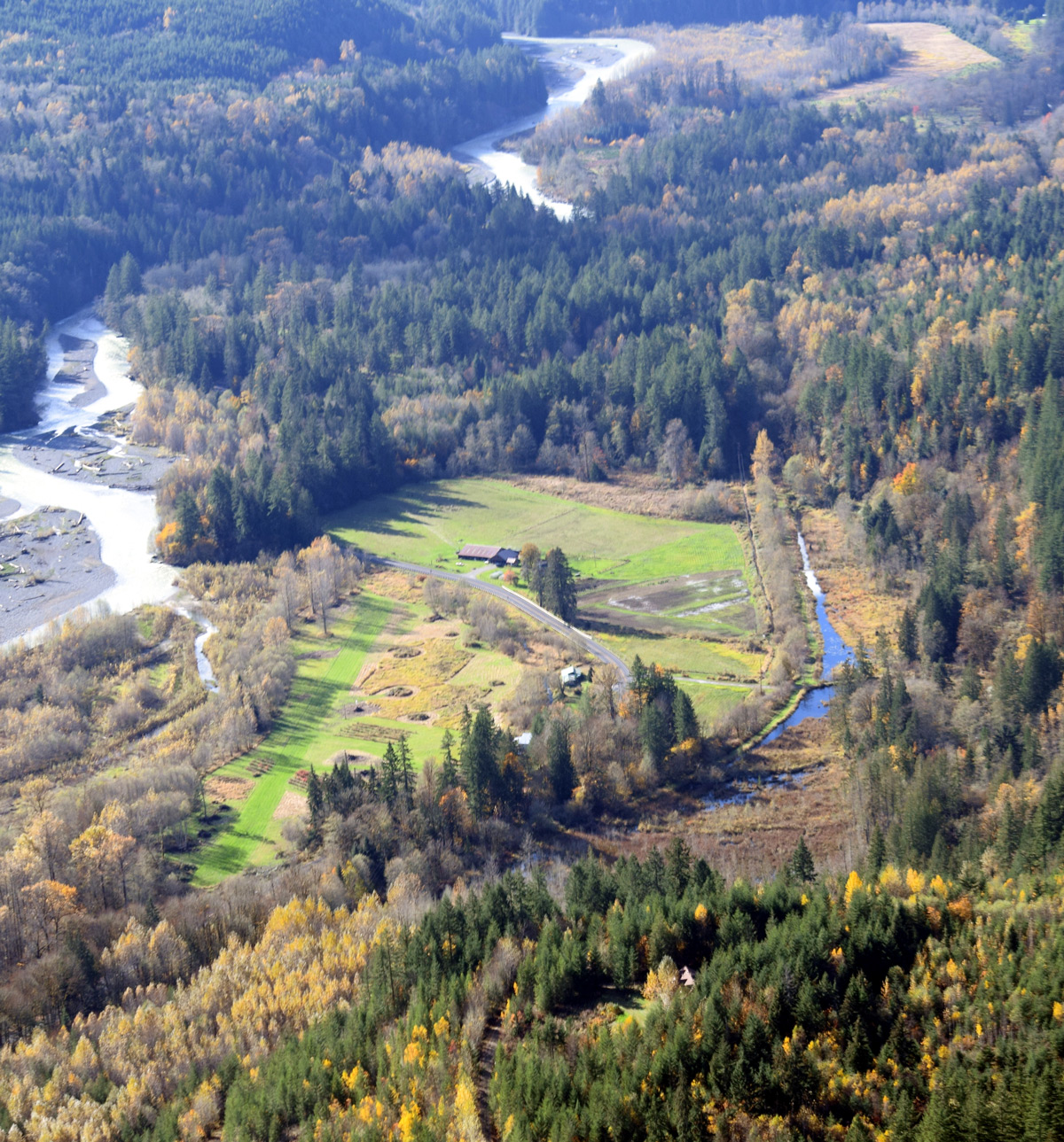 aerial view