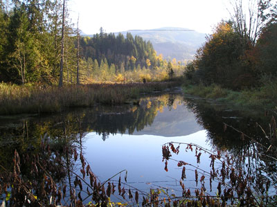 summer ponds