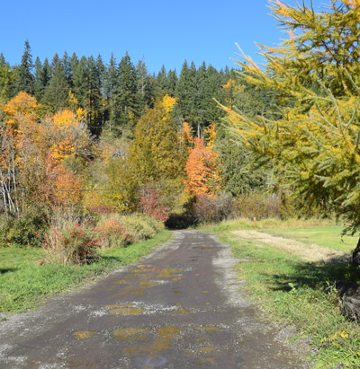 Entrance Road 