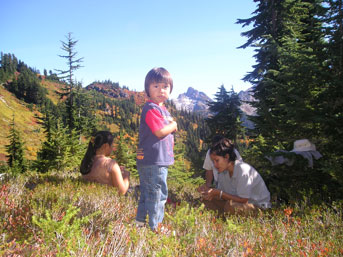 Picking Berries