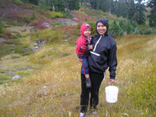 Huckleberry Picking