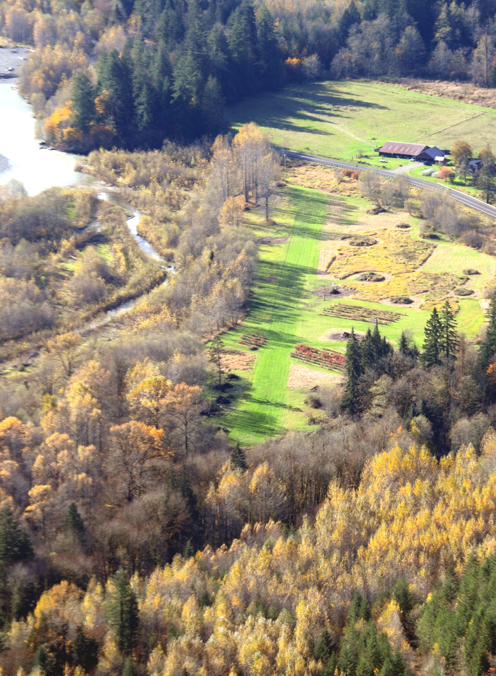 aerial view