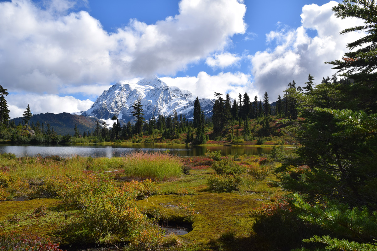 Mt. Shuksan from Heather Meadows