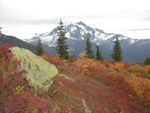 Mt Shuksan from Goat Mt.