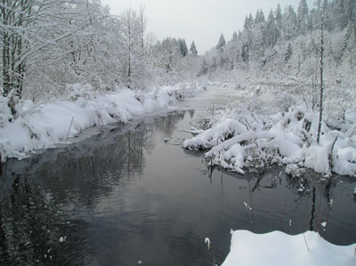 winter ponds